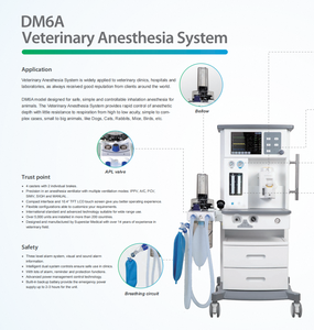 Profissional-Grade Veterinária Anestesia Máquina CE Certified Classe II para Cat Dog Rabbit Horse Surgeries Clínicas Veterinárias - Product Image 5