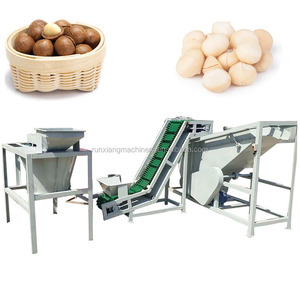 Máquina Procesadora de Nueces, Avellanas, Macadamias y Almendras Marca Runxiang, Capacidad 1000kg/h, 380V, Alta Tasa de Descascarado 95-99% - Product Image 1