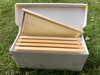 5 Rahmen Wellpappe pp Nuc Box für die Bienenzucht