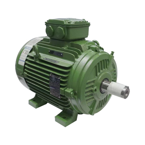 Motor Trifásico Weg de Alta Calidad y Bajo Costo, Motores Weg 380V Trifásicos AC, Motor de Inducción Weg - Product Image 3