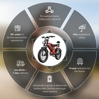 Prêt à être expédié, vélo électrique tout-terrain à pneus larges de 20 pouces, 750W, double suspension, vélo de sport électrique, Bicicleta Eléctrica