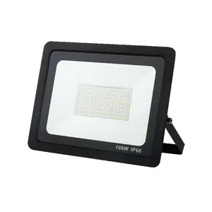 Nieuwe Stijl Hoge Kwaliteit Outdoor Led Overstroming Licht Leverancier