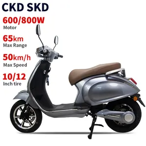 2024 most popular electric moped 10/12inch 600/800W 48/60V 50km/h speed 65km range best electric motorcycle in the world