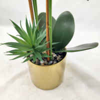 Set Pot Bonsai Phalaenopsis, gaya Nordic untuk rumah ruang tamu dekorasi meja untuk Halloween Hari Valentine wisuda