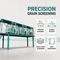 Machine de tamisage de céréales personnalisable pour le classement de la farine de blé, de maïs et de millet multi-céréales