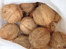 NOIX DE COCO SÉCHÉE MEILLEUR PRIX 2024 - Product Image 4