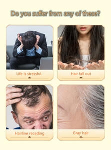 ชา<span class=keywords><strong>ดำ</strong></span>บรรจุถุงแบบห้าชิ้น OEM/ODM - ผลิตภัณฑ์เพื่อสุขภาพที่ผ่านกระบวนการพิเศษ ปริมาณสั่งซื้อขั้นต่ำน้อย - Product Image 3