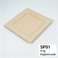 Assiettes carrées biodégradables jetables compostables, écologiques, blanches et brunes, en pâte de bambou pour les fêtes