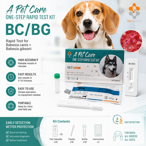 Kit de Prueba Rápida BC/BG para Perros, Antígeno de Babesia <span class=keywords><strong>Canis</strong></span> + Babesia Gibsoni, Prueba de Diagnóstico Veterinario - Product Image 1