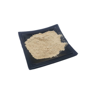 Bêta-glucane de levure de qualité alimentaire 70% <span class=keywords><strong>80%</strong></span> 90% poudre d'extrait de levure - Product Image 1