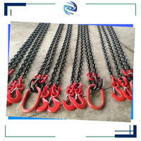 Chaînes de levage personnalisées 5T à deux brins, 3M, G80, 3x4x120, avec maillon maître et double crochet à œil, certifiées CE
