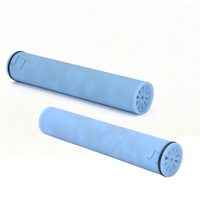 Cartouche de remplacement pour douchette filtrante, élimine le chlore, le fluorure, les métaux lourds et autres contaminants