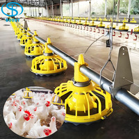 Ligne d'alimentation avicole entièrement automatique, ligne d'abreuvement par pipette, équipement d'élevage de poulets de chair avec trémie d'alimentation
