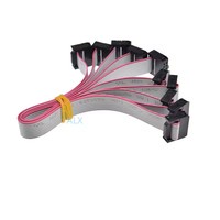 Fc-10p 20cm 2.54mm pas Jtag Avr Isp câble de téléchargement 10p fil 10pin gris plat ruban câble de données pour Dc3 Idc boîte en-tête