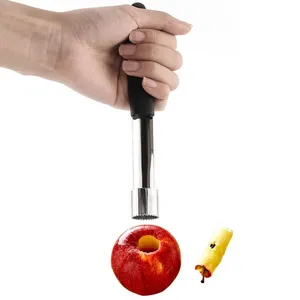 Pear Seed Remover Cutter Tiện Ích Nhà Bếp Thép Không Gỉ Trang Chủ Rau Công Cụ Táo Ngày Đỏ Corers Twist Fruit Core Loại Bỏ Pit