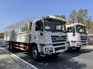 Camion de transport spécial multi-usages Shaanxi Auto Delong 6x4 pour les voyages en grand groupe - Product Image 5