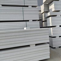 Nouveaux panneaux muraux légers en ALC/AAC, matériaux de construction pour les murs et les sols extérieurs ou intérieurs