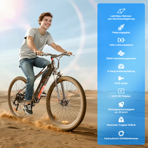 Vélo électrique 2 places homologué route, avec assistance au pédalage, <span class=keywords><strong>moteur</strong></span> longue portée 250W 13Ah, vitesse 25km/h, pour livraison, modèle <span class=keywords><strong>Giant</strong></span>, disponible depuis l'entrepôt UE - Product Image 5