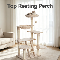 Arbre à chat avec plateformes de repos beiges, échelle d'escalade, poteaux à gratter en sisal et jouet suspendu, aire d'activités multi-chats, tour pour chat