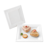 Emballage alimentaire chaud biodégradable compostable écologique jetable pâte de bagasse papier à emporter 6 ''personnalisé à aller plaque