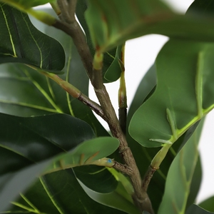 <strong>Fiddle</strong> <strong>Tree</strong> Hot Sale Artificial <strong>Fig</strong> Plants Plastic Ficus <strong>Trees</strong> <strong>Fiddle</strong> <strong>Tree</strong> - Product Image 6
