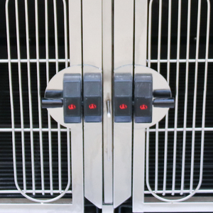 Jaula Modular para Perros y Gatos de Acero Inoxidable SUS304/201 para Tienda de Mascotas, Perrera - Product Image 3