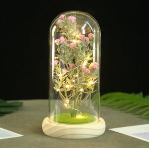 AYOYO OEM Роза для Дня матери стеклянный купол освещение Роза подарок матери цветок подарочная коробка - Product Image 4