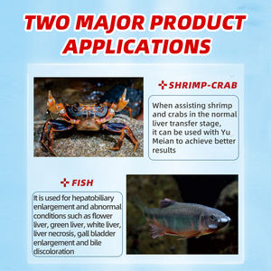 Complément Alimentaire Aquatique Écologique pour <span class=keywords><strong>Foie</strong></span> Hepa Guard - Protection <span class=keywords><strong>Foie</strong></span>-Pancréas - Additifs Alimentaires - Product Image 5