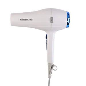 Wholesale powerful body blow dryer hot cold adjustable OEM promax 2000W rolling steam camping hair dryer for salon