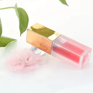 Nhãn Hiệu Riêng Rõ Ràng Rỗng Black Wand Frosted 6Ml Lip Gloss Container Với Nắp Vàng Ống Trang Điểm Vuông Với Số Lượng Lớn