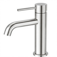Robinet de lavabo en acier inoxydable, robinet de salle de bain à poignée unique, robinet d'eau froide