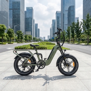 Green Assit 20Inch Fat Tyre Ebike 48V 250-1000 Road With Low Step Thru <b>Frame</b> - Product Image 4