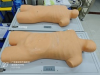 Maniquí de venopunción de PVC de función completa, modelo anatómico CPR Torso con características de inyección para fines de entrenamiento