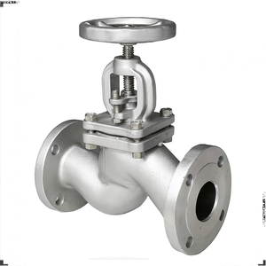 COVNA Vanne de régulation à globe manuelle OEM en fonte, à bride de 4 pouces, haute température, pour vapeur et eau, PN16, avec garantie de 90 jours - Product Image 5