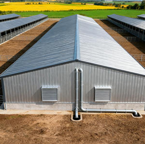 Entrepôts d'élevage, poulaillers, fermes, bâtiments agricoles en acier préfabriqué de conception industrielle moderne - Product Image 2