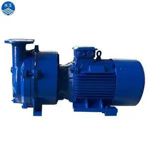 Factory Supply Golden Supplier Oil-Free Vacuum Pump