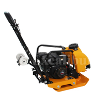 Compacteur vibrant à plaque mini à moteur à essence de 13,5 KN 80 kg pour le sol, le sable et la terre