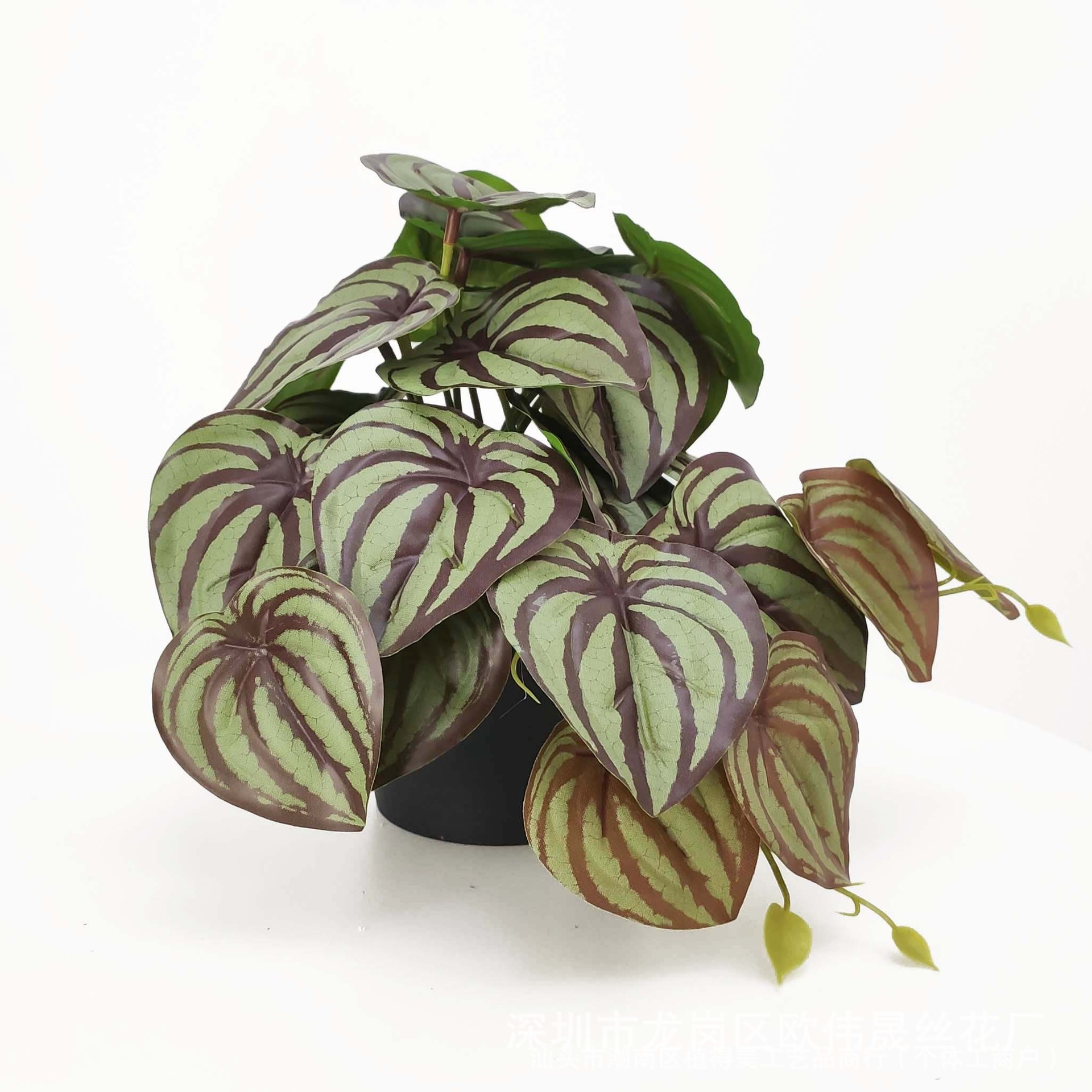 Green mini autumn watermelon leaves