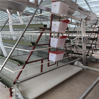 Élevages de poulets en couches métalliques pour usage commercial, respectueux de l'environnement