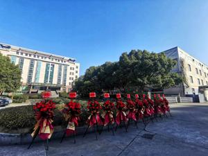 T t t t vert chunmee tè verde 41022 <span class=keywords><strong>deserto</strong></span> fabbrica di tè personalizzare all'ingrosso - Product Image 5