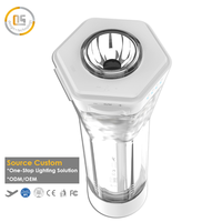 Lampes LED de paysage HEX-13, étanches IP55, en plastique/acrylique, batterie au lithium, à intensité variable, température de couleur multiple, montage mural extérieur