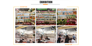 Nhân tạo mọng nước nhà máy sắp xếp trong tráng men sứ <span class=keywords><strong>planter</strong></span> với hiện đại Châu Á Zen phong cách - Product Image 6