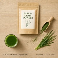 Poudre d'herbe d'orge pure et naturelle, poudre de jus de feuilles de jeunes orge de qualité alimentaire pour smoothies et boissons