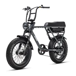 48v Electric Hybrid Bike Lithium Battery Electric Mountain Bike 7 Speed Fatbike Ebike