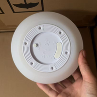 Esfera de Luz LED RGB de 15 cm con Cambio de Color, Lámpara Solar Decorativa para Jardín, Parque, Globo de Plástico, Esfera Luminosa
