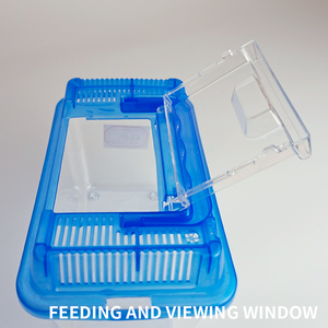 18X11X12Cm Aquaria Met Enkele Vis In Diverse Levendige Kleuren Gekko Habitat Reptielen Voedingstank - Product Image 2