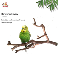 Petit perchoir pour oiseaux en bois de vigne naturel et en acier, jouet amusant et ludique pour cage à oiseaux