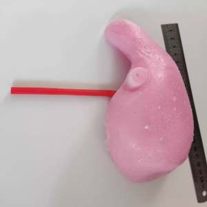 KyrenMed Modelo Treinamento Fígado Humano Silicone Modelo Prática Cirurgia Hepática para Prática Cirurgia Hepática - Product Image 3