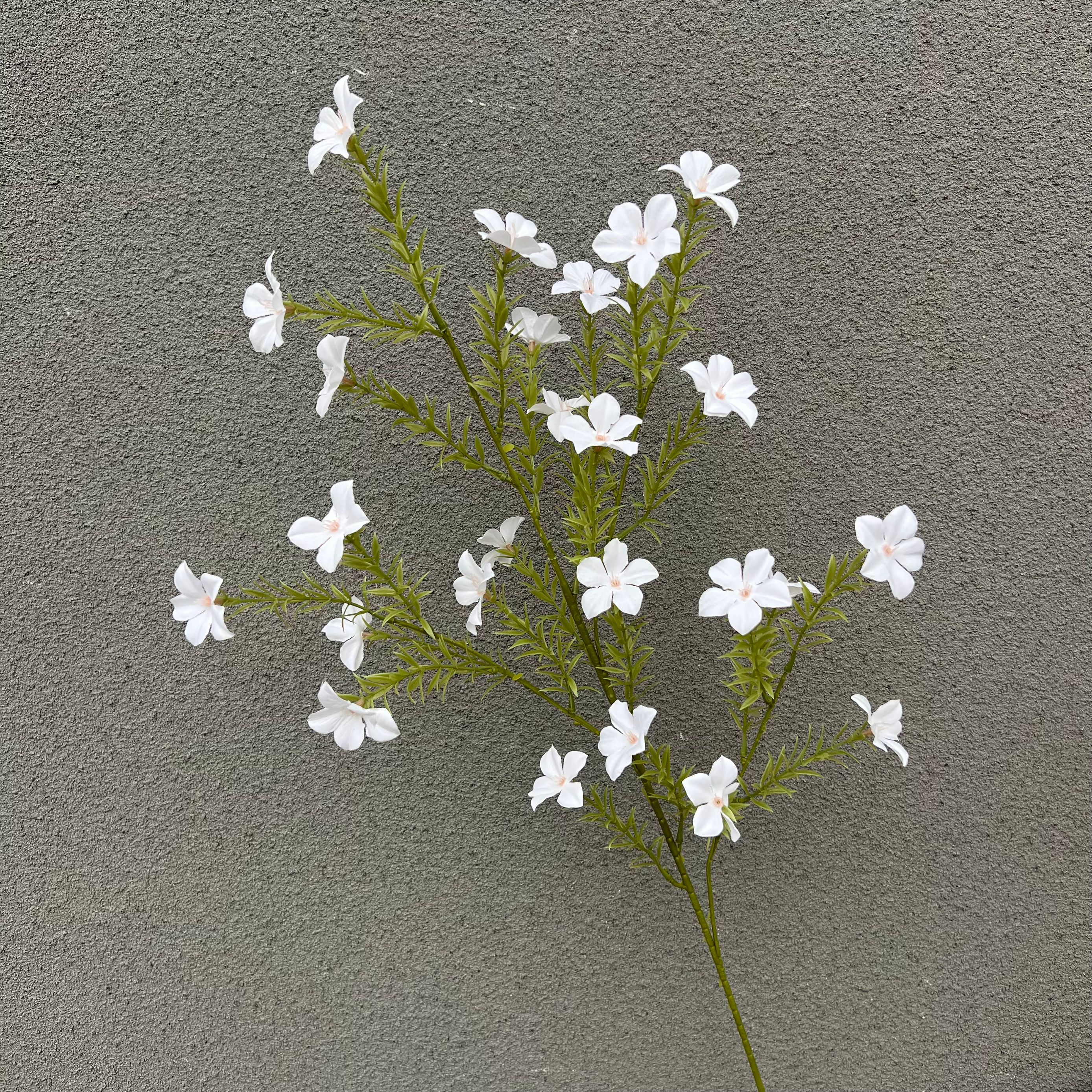 White small wildflower