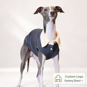 Camiseta Ligera de Poliéster para Perro, Disponible en Stock, para <span class=keywords><strong>Galgo</strong></span> Italiano, Whippet, Terrier, Transpirable, para Todas las Estaciones, Ropa Casual para Mascotas - Product Image 1